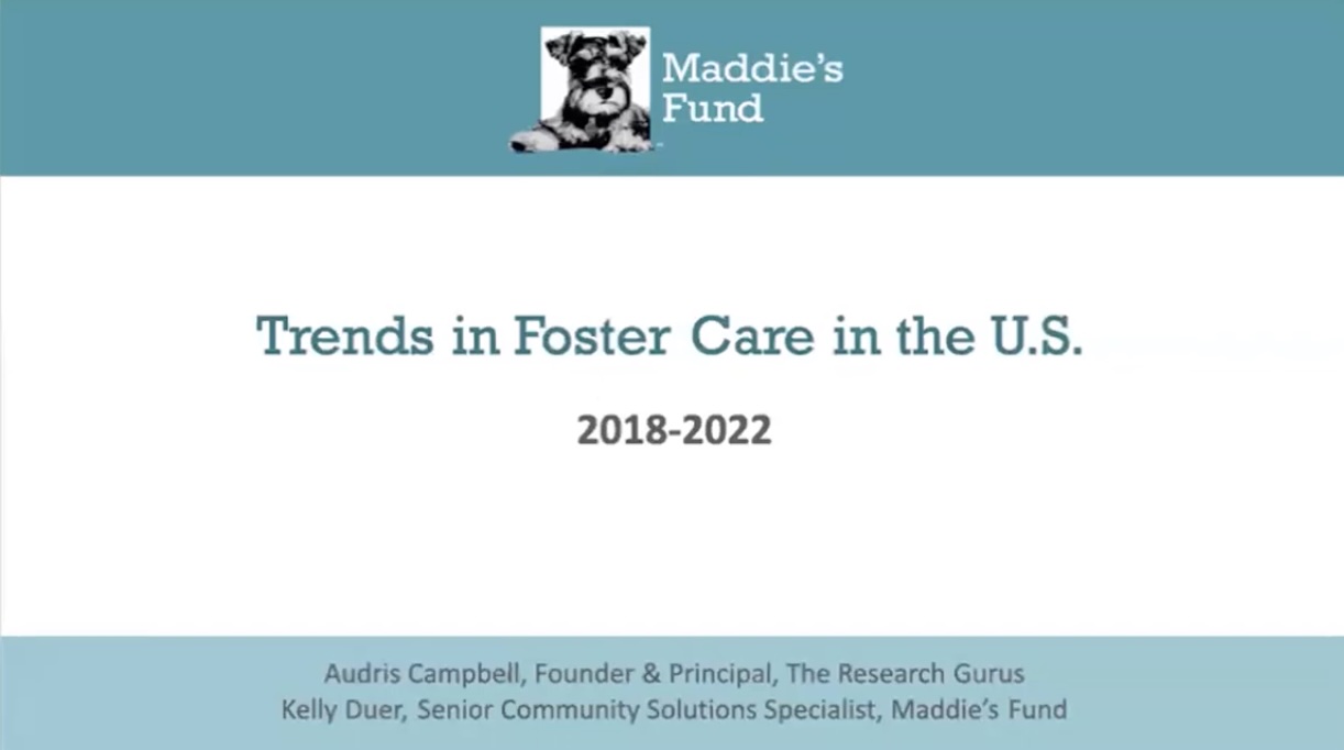 Preview for Maddie's Fund video